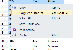 2_Copy Column Headers in SQL Server