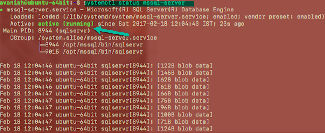 SQL_Service_Check